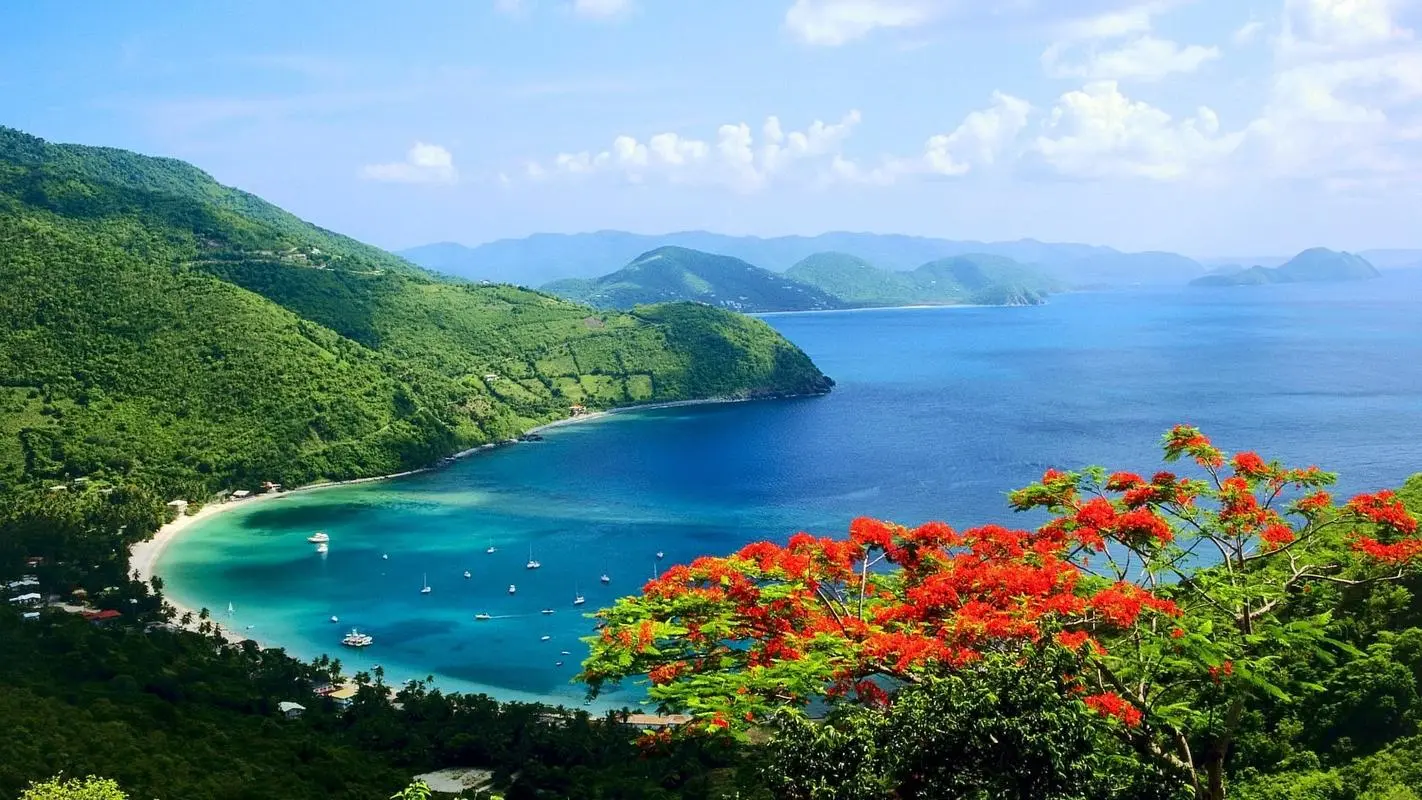 智能化高端